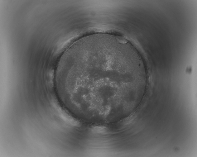 X0000111800066200907301219