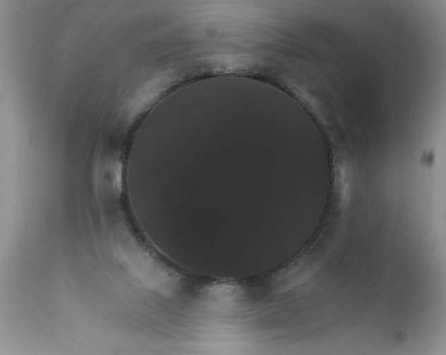 X0000111800067200907301219