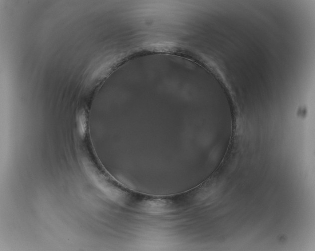X0000111800069200907301219