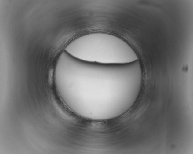 X0000111800070200907301219