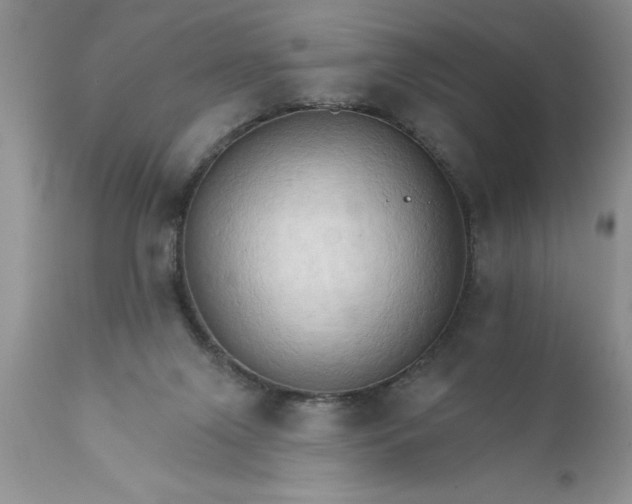 X0000111800071200907301219