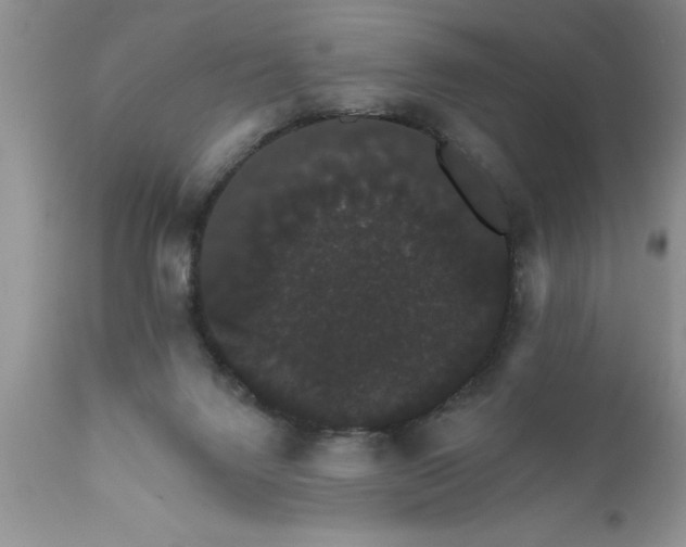 X0000111800072200907301219