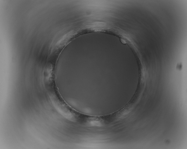 X0000111800073200907301219