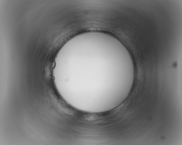 X0000111800074200907301219