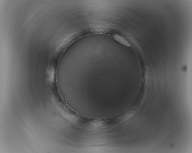 X0000111800076200907301219