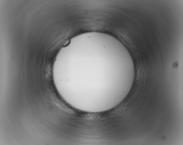 X0000111800077200907301219
