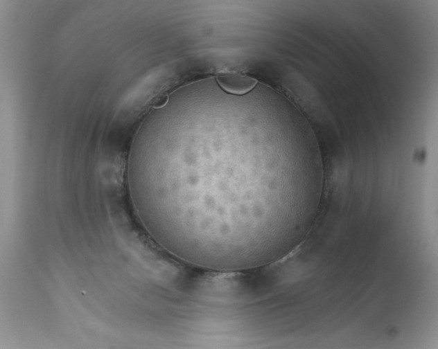 X0000111800078200907301219