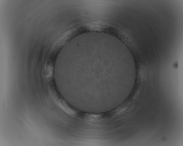 X0000111800081200907301219