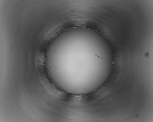 X0000111800083200907301219
