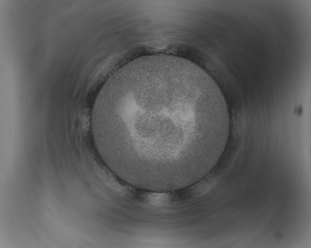 X0000111800085200907301219