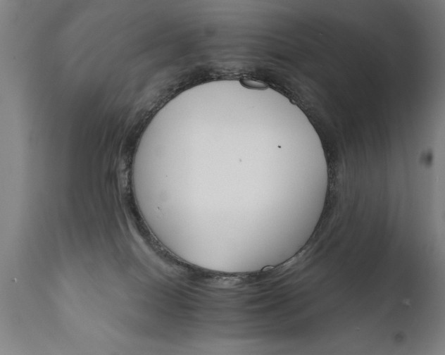 X0000111800086200907301219