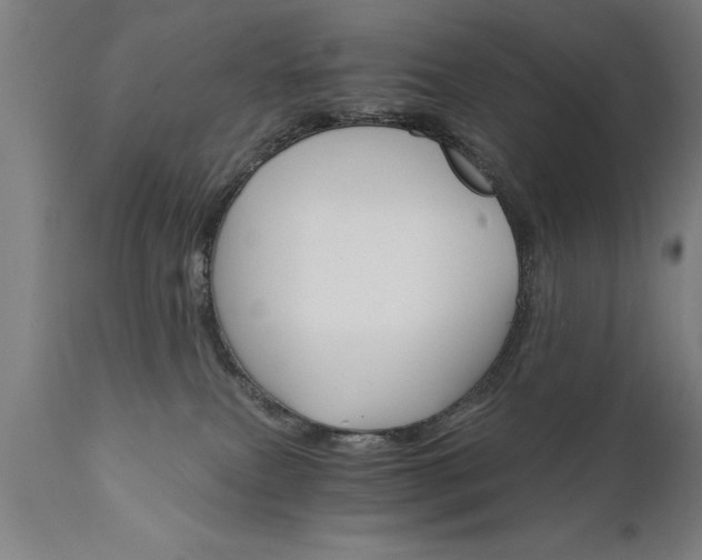 X0000111800087200907301219