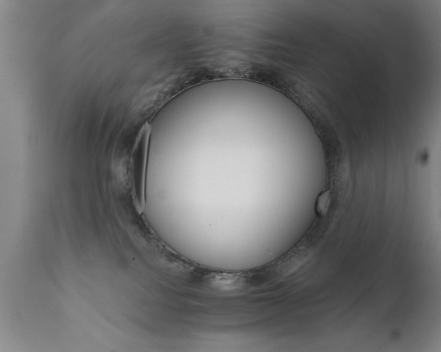 X0000111800088200907301219