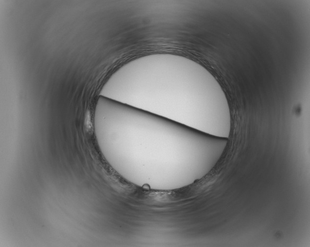 X0000111800089200907301219