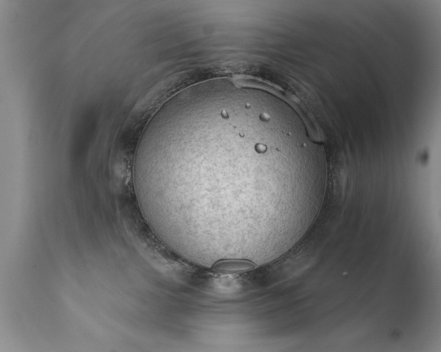 X0000111800091200907301219