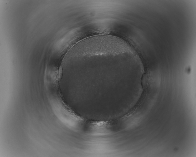 X0000111800092200907301220