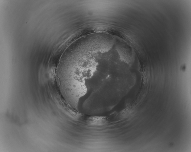 X0000111800093200907301220