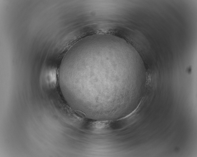 X0000111800094200907301220