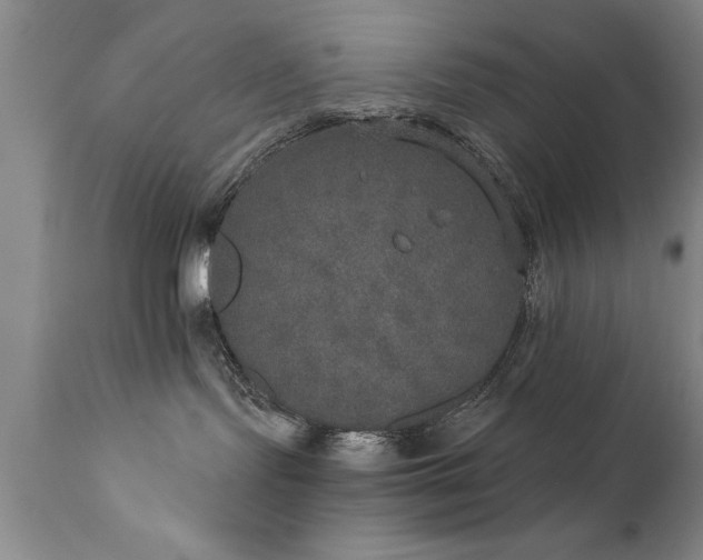 X0000111800095200907301220