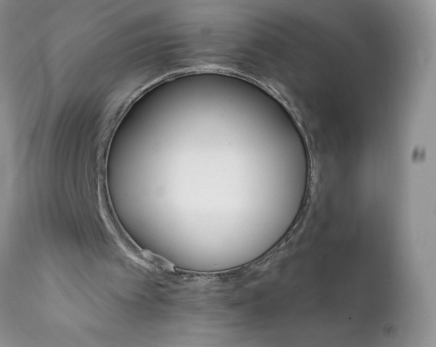 X0000111800097200907301219