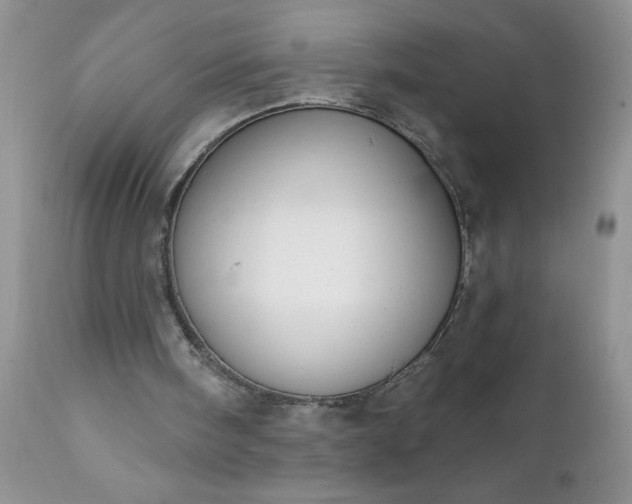 X0000111800098200907301219