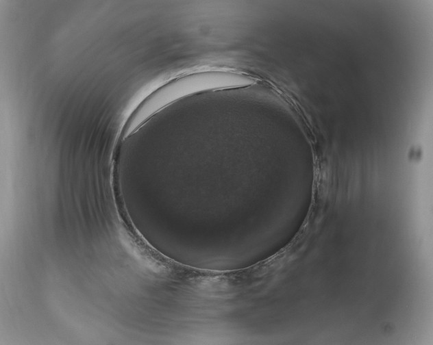 X0000111800100200907301219