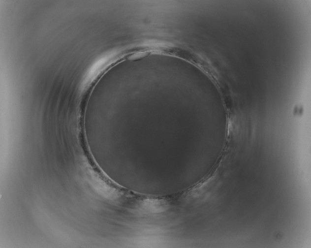 X0000111800101200907301219