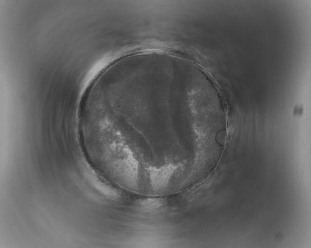 X0000111800102200907301218