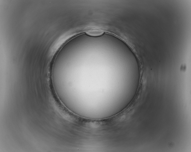 X0000111800103200907301218