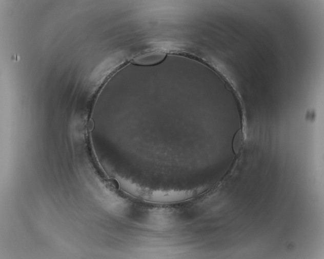 X0000111800105200907301218