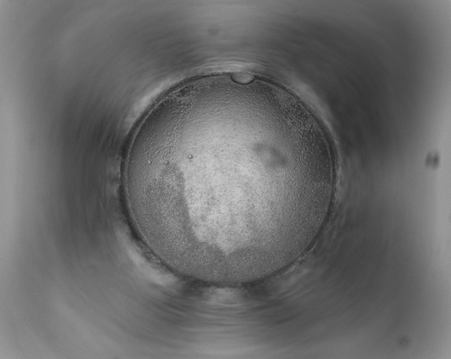 X0000111800107200907301218