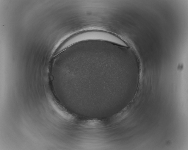 X0000111800108200907301218