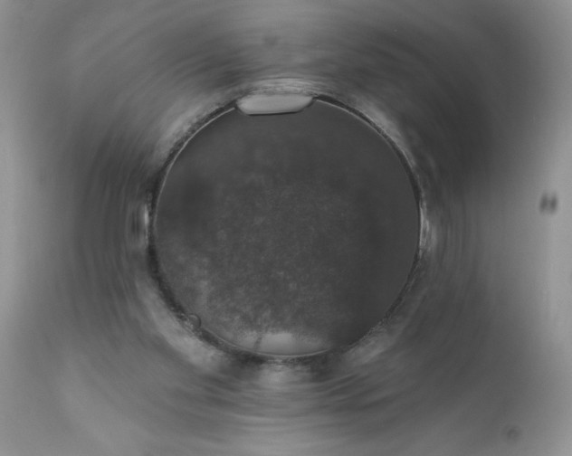 X0000111800109200907301218