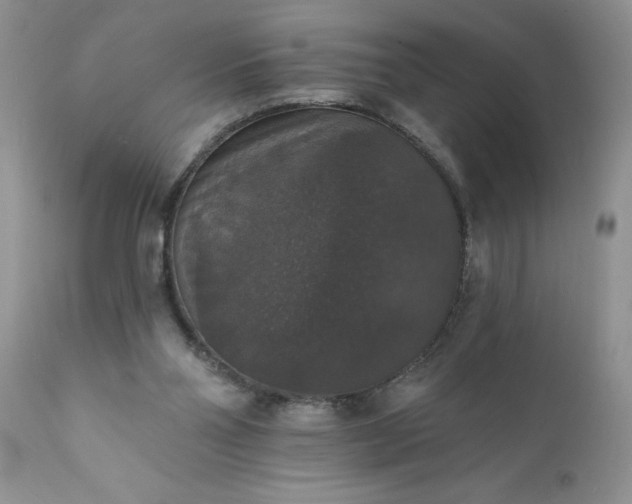 X0000111800110200907301218