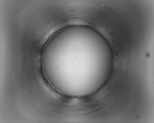 X0000111800111200907301218