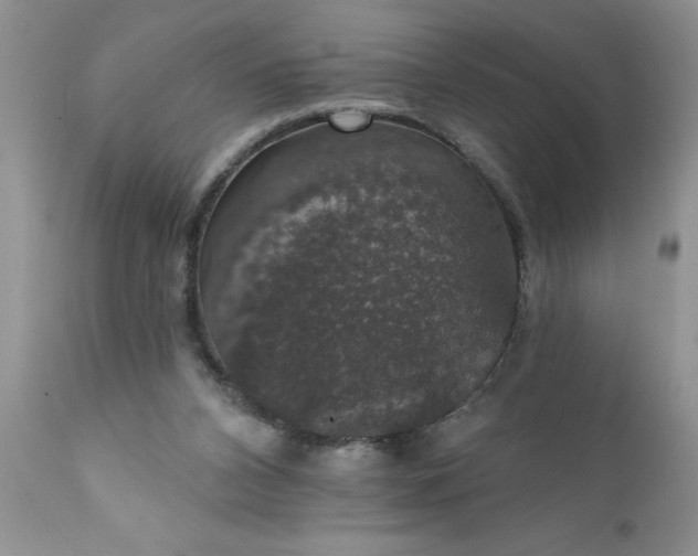 X0000111800112200907301218