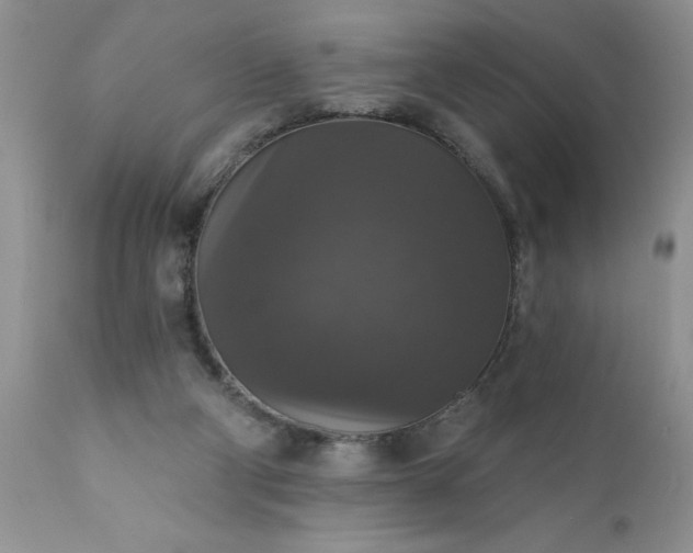X0000111800114200907301218