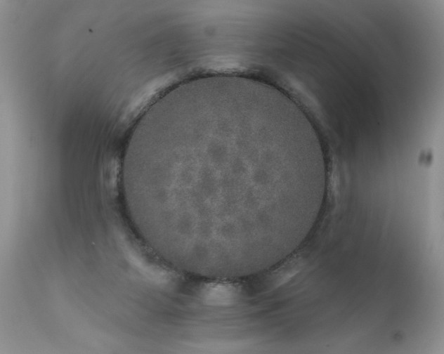 X0000111800115200907301218