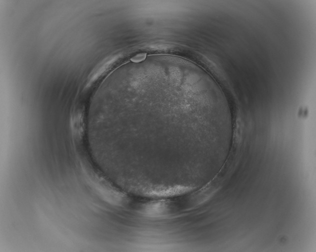 X0000111800116200907301218