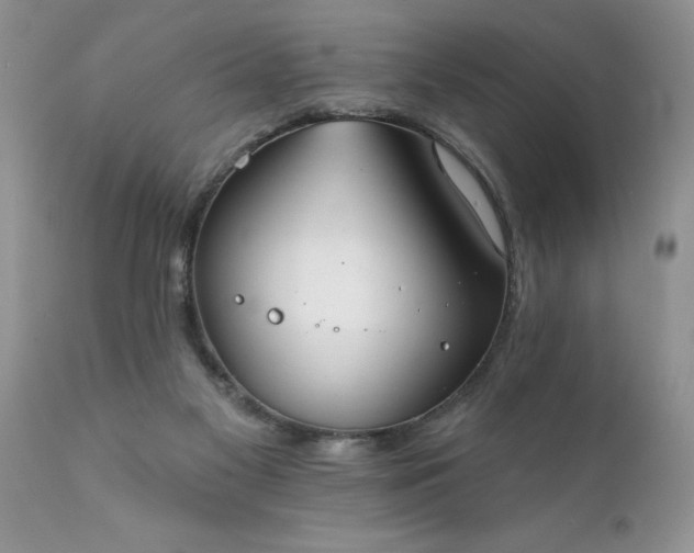 X0000111800117200907301218