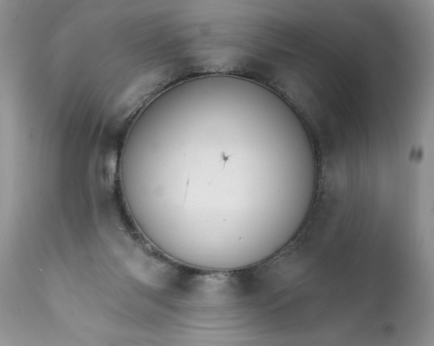 X0000111800118200907301218