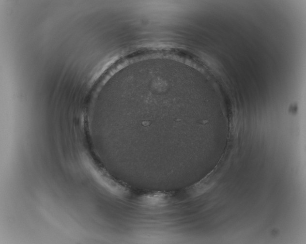 X0000111800120200907301218