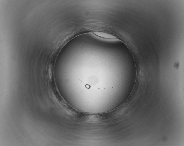 X0000111800121200907301218