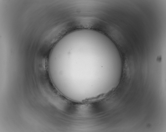 X0000111800122200907301218