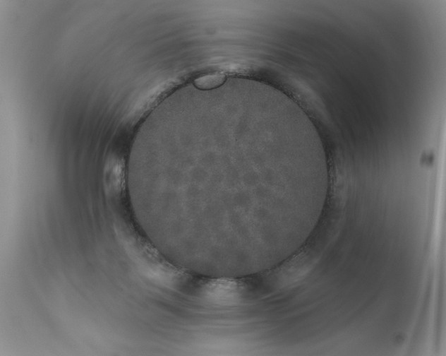 X0000111800123200907301218