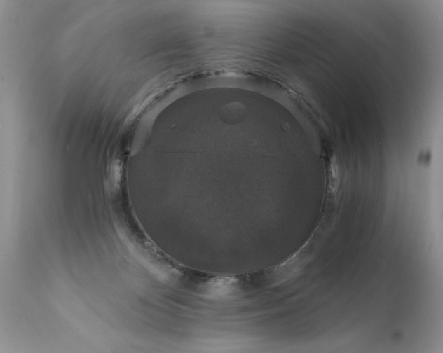 X0000111800124200907301218