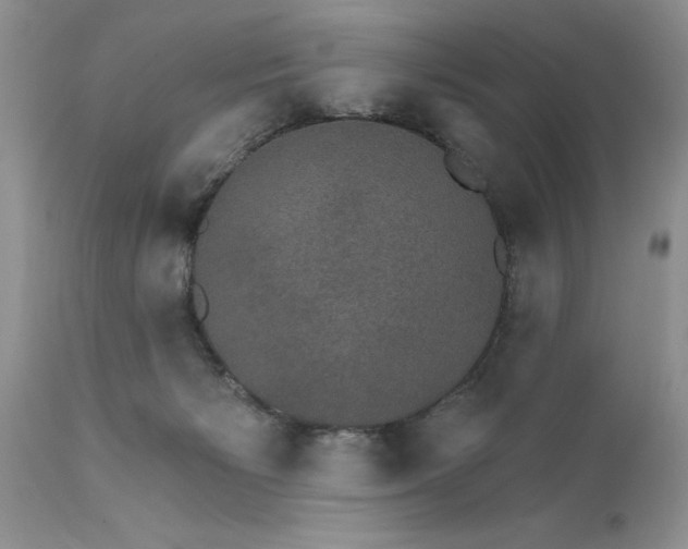 X0000111800125200907301218