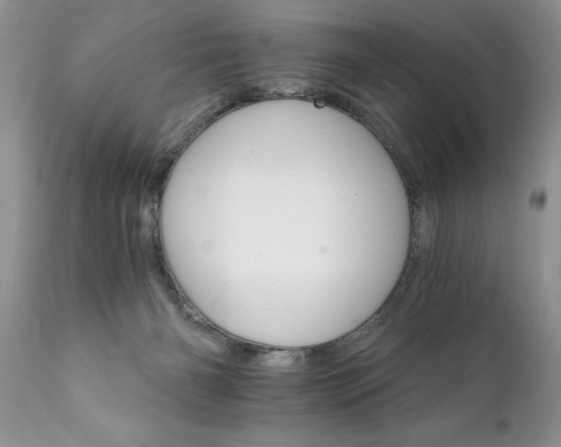 X0000111800126200907301218