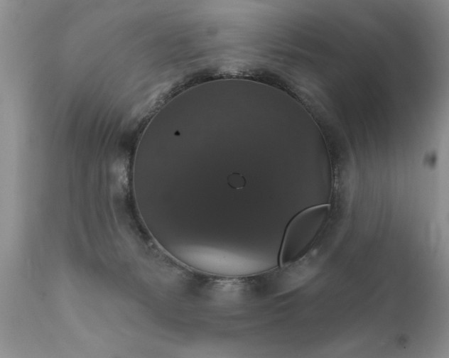 X0000111800127200907301218