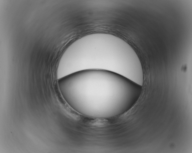 X0000111800128200907301218